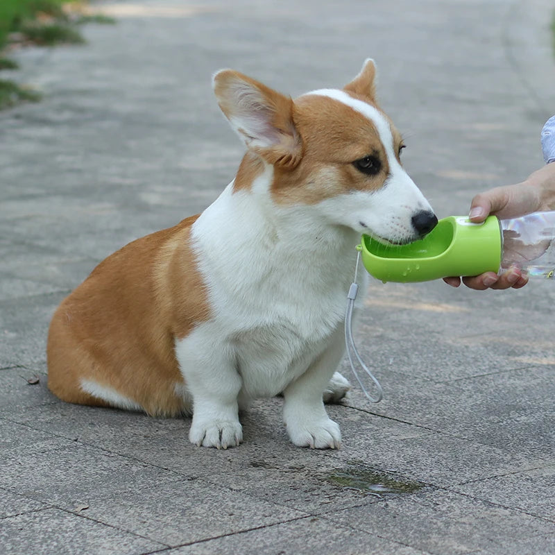 Paw Travel Duo Bottle